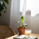 Без названия (2)